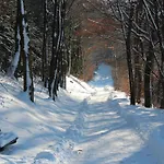 Moos-hochsauerland *