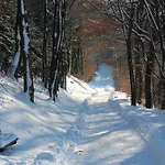Moos-hochsauerland *