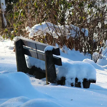 公寓 莫斯-霍赫藻厄兰公寓 奥尔斯贝格