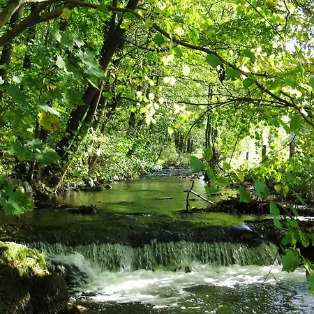 דירה Moos-hochsauerland *