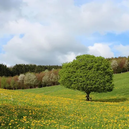 Moos-hochsauerland Appartamento *