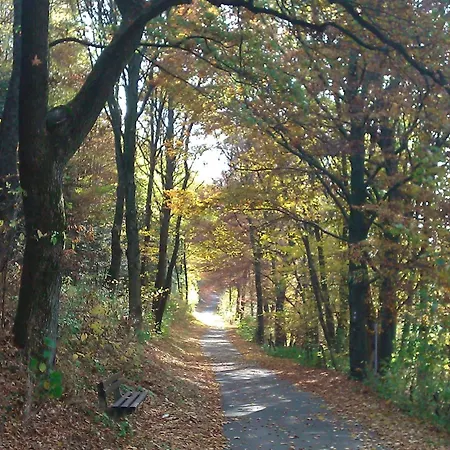 Appartamento Moos-hochsauerland Olsberg