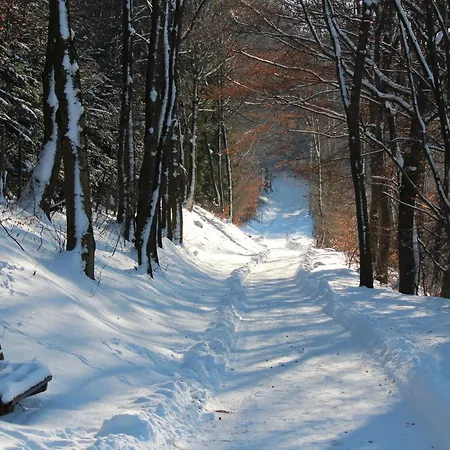 Moos-hochsauerland *