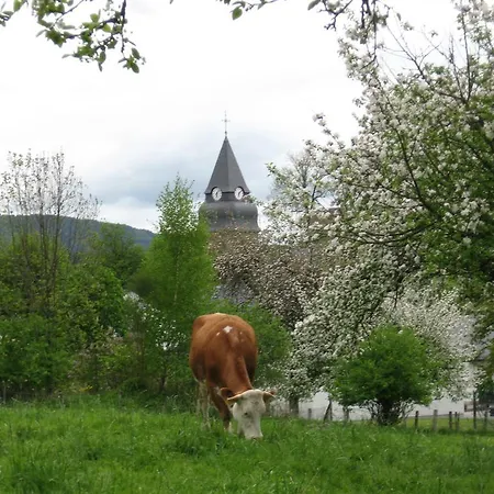 Moos-hochsauerland Wiemeringhausen