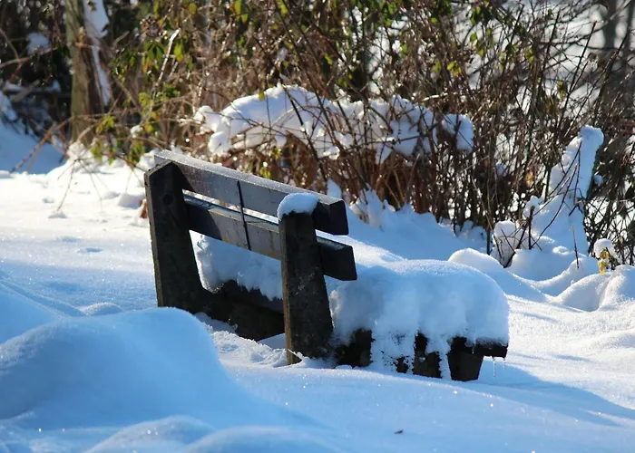 Апартаменты Moos-hochsauerland Ольсберг