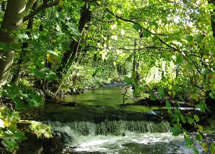 Апартаменты Moos-hochsauerland *