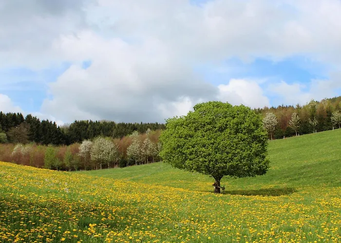 Moos-hochsauerland Апартаменты *