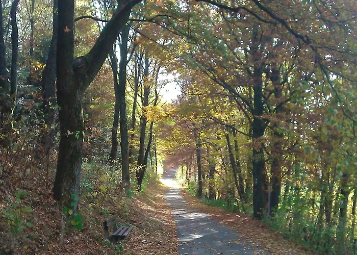 Moos-hochsauerland * Ольсберг