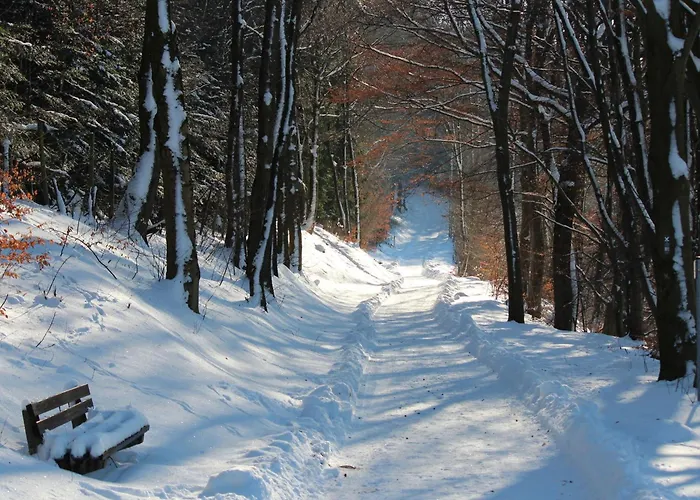 Moos-hochsauerland *